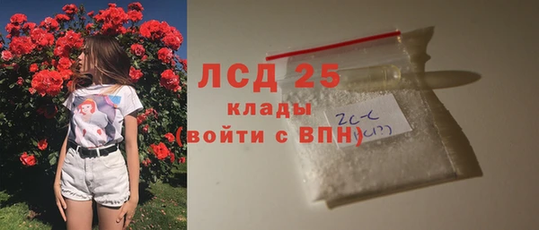 СК Краснослободск