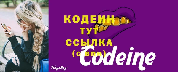 СК Краснослободск