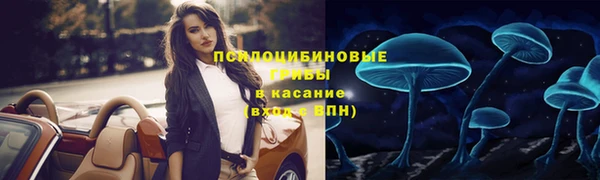 СК Краснослободск